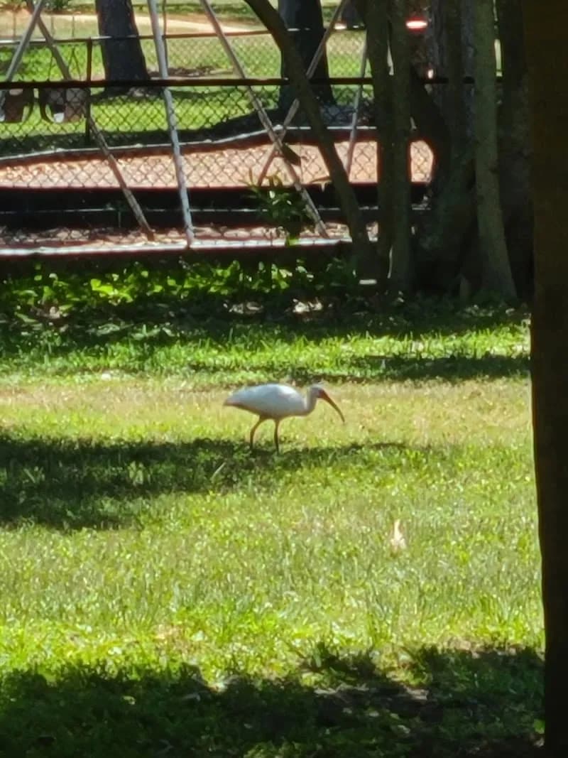 View of Parks & Conservation Resource in St. Petersburg, FL