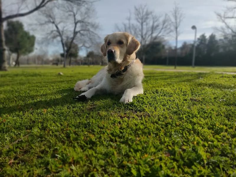 View of Parque Aravaca in Las Rozas de Madrid, Madrid