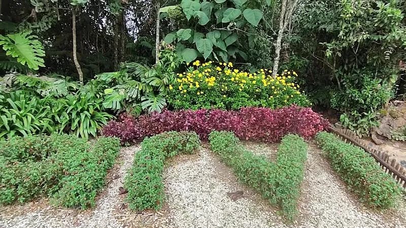View of Parque Arví in Chapinero, CD