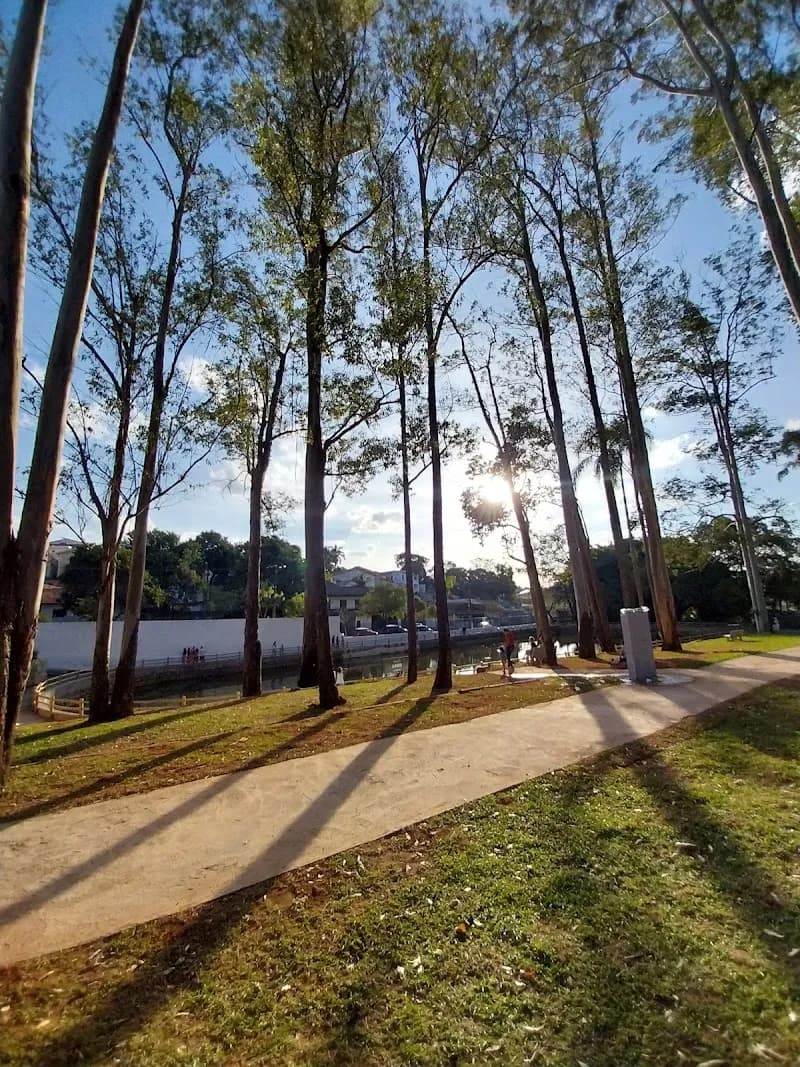 View of Parque Cidade Natureza Alchimedes Farinelli in Arujá, SP