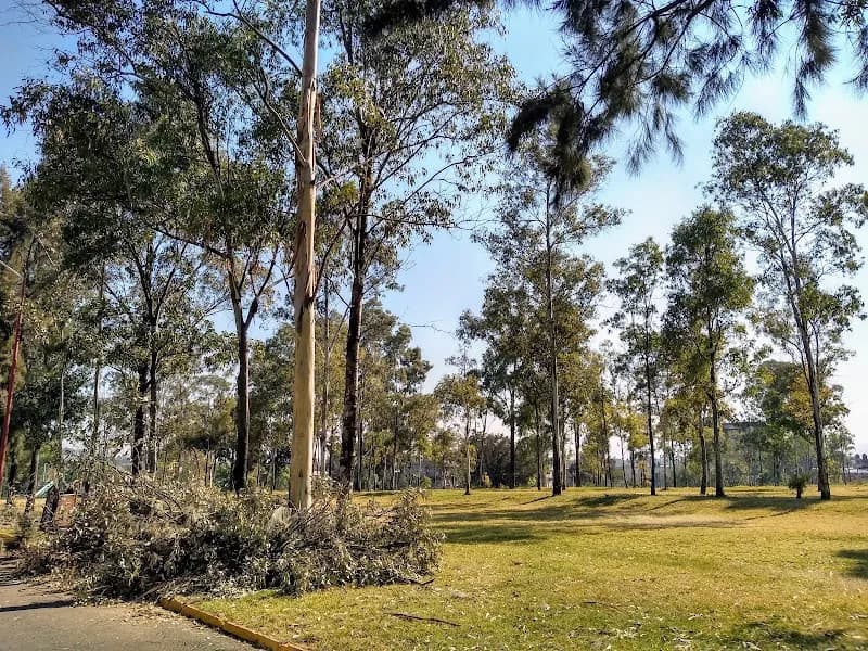 Parque Cuitláhuac state park in Iztapalapa, CDMX