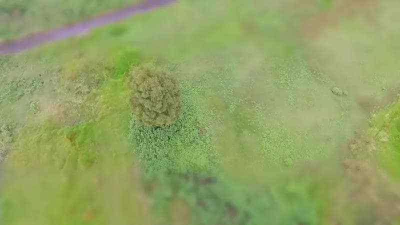 View of Parque Cuitláhuac in Iztapalapa, CDMX