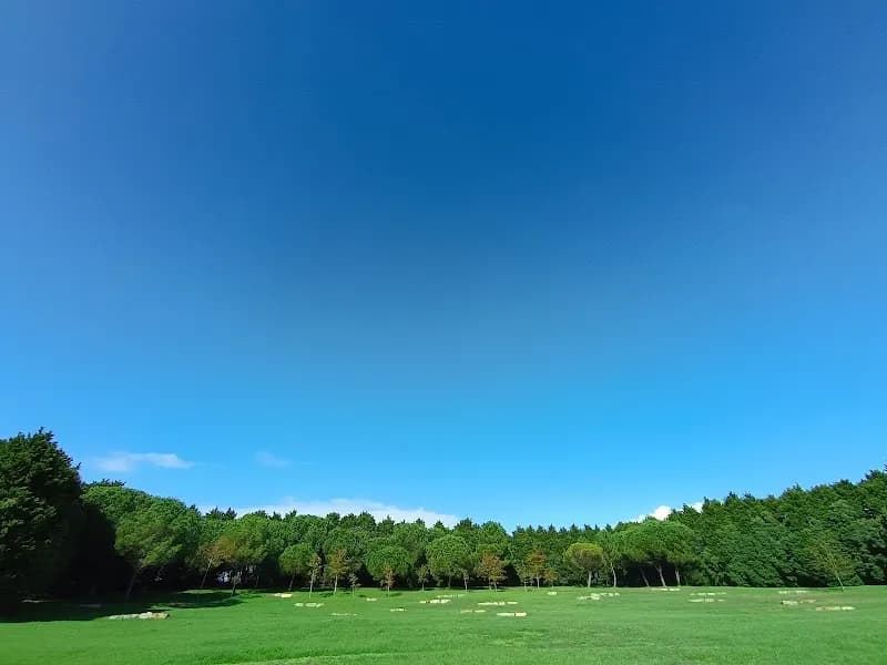 Parque da Cidade do Porto city park in Porto, PRT