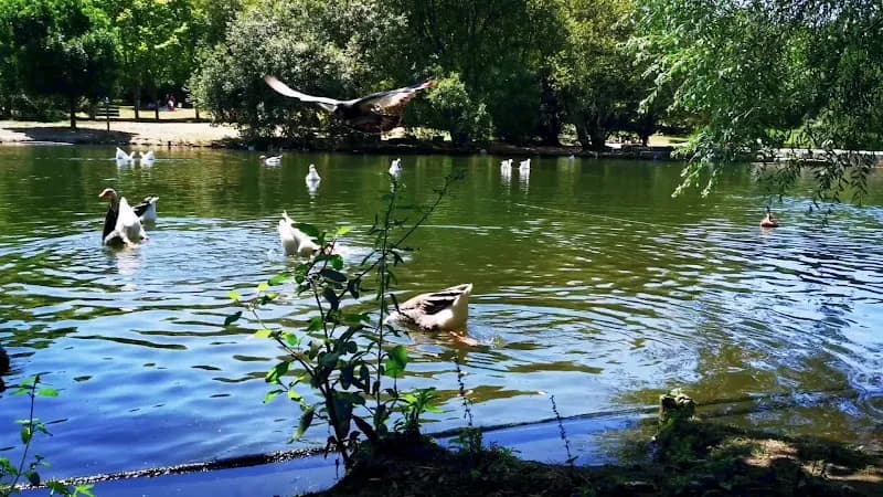 View of Parque da Cidade do Porto in Porto, PRT