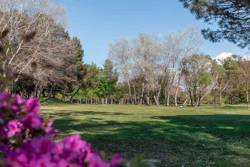 View of Parque da Cidade do Porto in Porto, PRT
