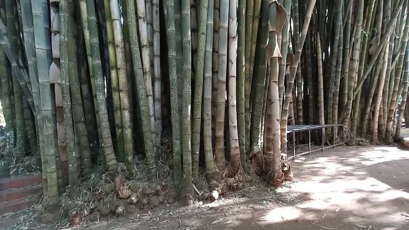 View of Parque da Água Branca in Sao Paulo, SP