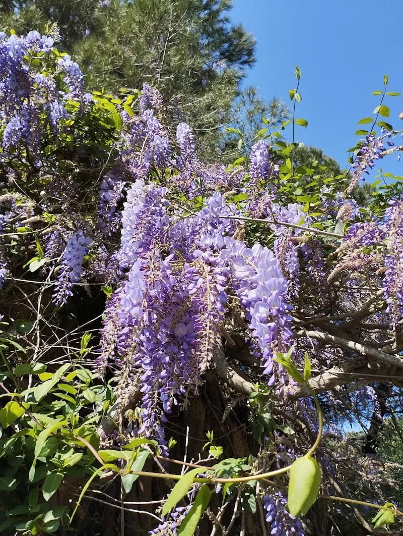 View of Parque da Paz in Caparica, Almada