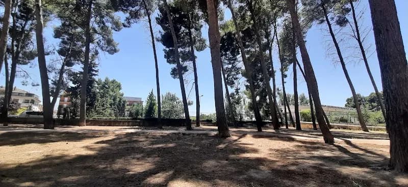 Parque de la Constitución park in Requena, V