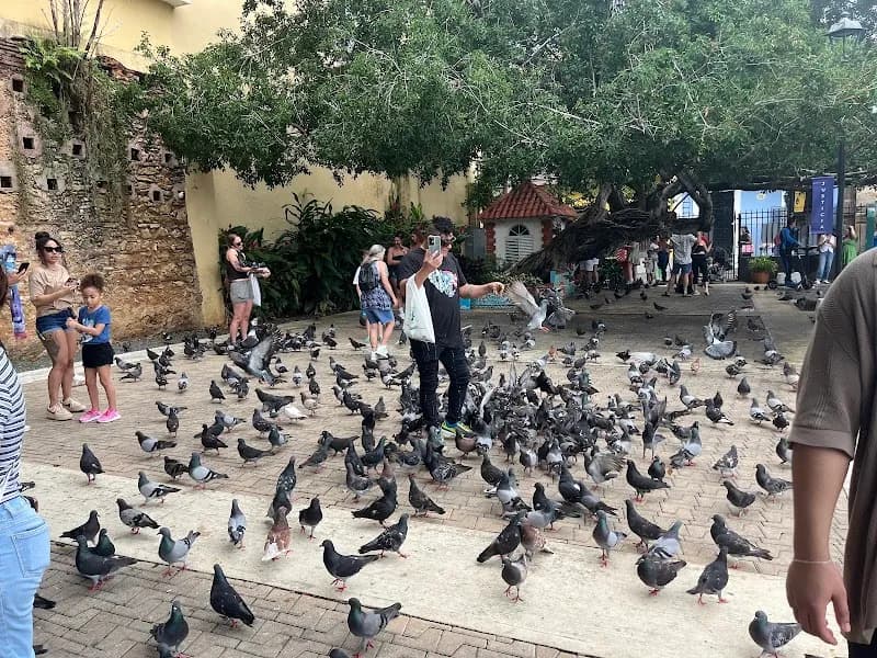 Parque de las Palomas park in San Juan, PR