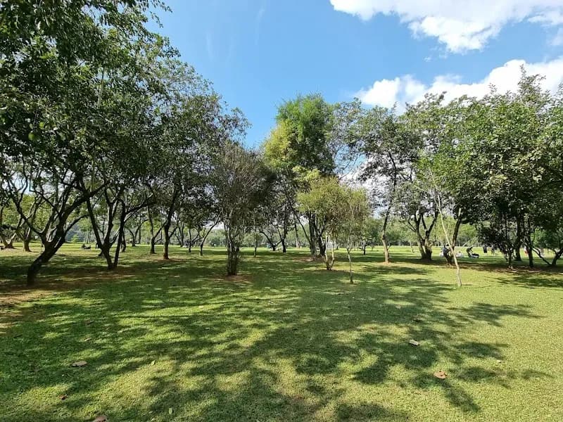 Parque Ecológico Vivencial da Barueri nature in Barueri, SP