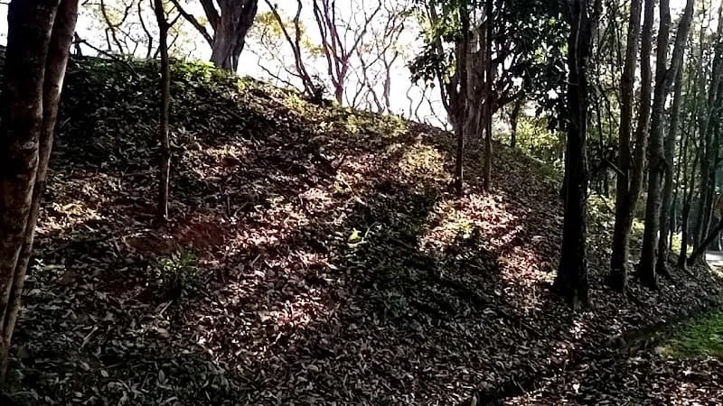 View of Parque Ecológico Vivencial da Barueri in Barueri, SP