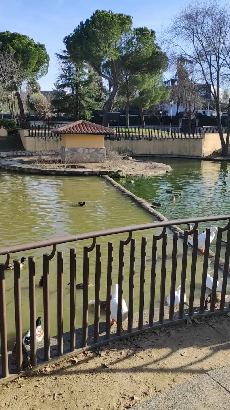 View of Parque El Castillo / Parque de los Patos in Villaviciosa de Odón, Madrid