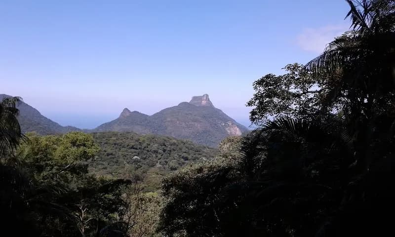Parque Florestal da Tijuca woods in Rio de Janeiro, RJ