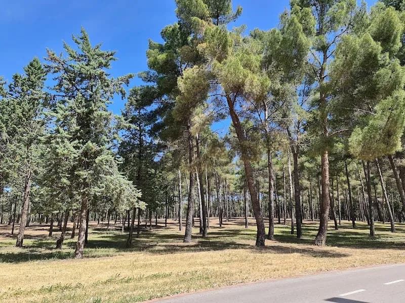 View of Parque Forestal de Entrevías in Rivas-Vaciamadrid, Madrid