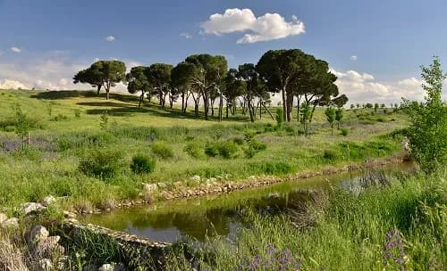 View of Parque Forestal de Valdebebas - Felipe VI in Las Rozas de Madrid, Madrid