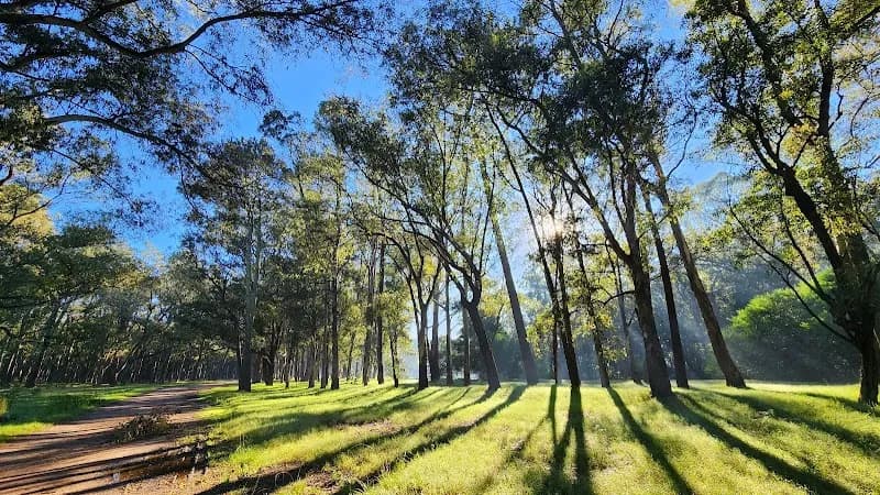 View of Parque Franklin Delano Roosevelt in Montevideo, MO