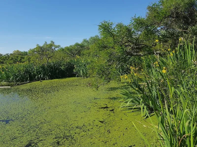 View of Parque Incorporación in San Isidro, BA