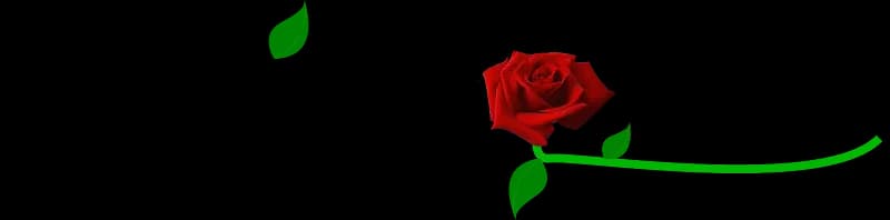 View of Parque Infantil Las Flores in Toa Baja, PR