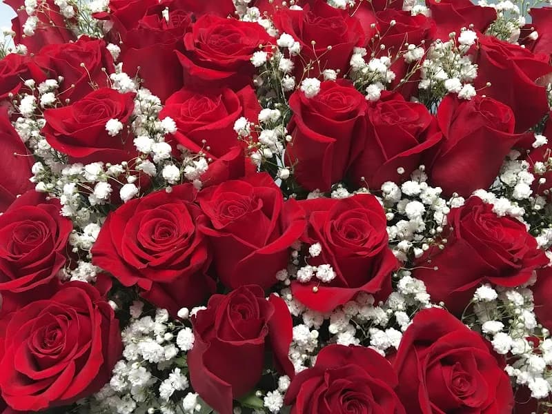 View of Parque Infantil Las Flores in Toa Baja, PR