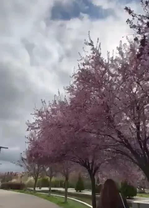 View of Parque Lineal in Rivas-Vaciamadrid, Madrid