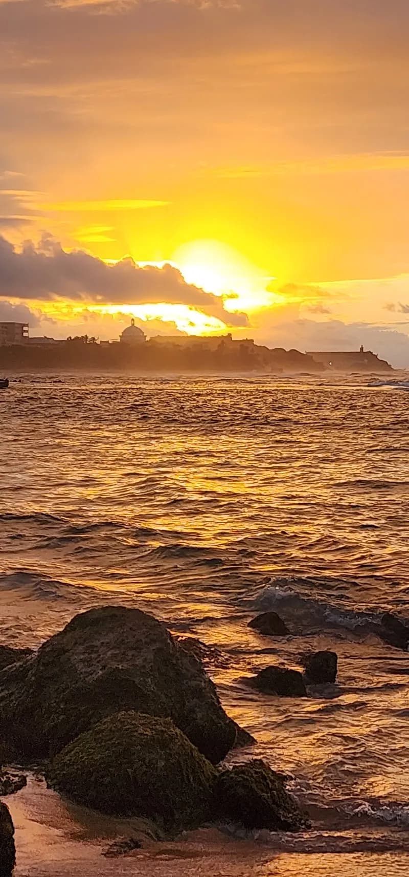 View of Parque Luis Muñoz Rivera in San Juan, SJ