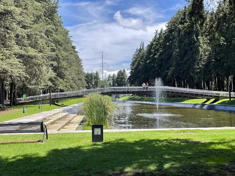 Parque Metropolitano Bicentenario state park in Toluca, Edomex