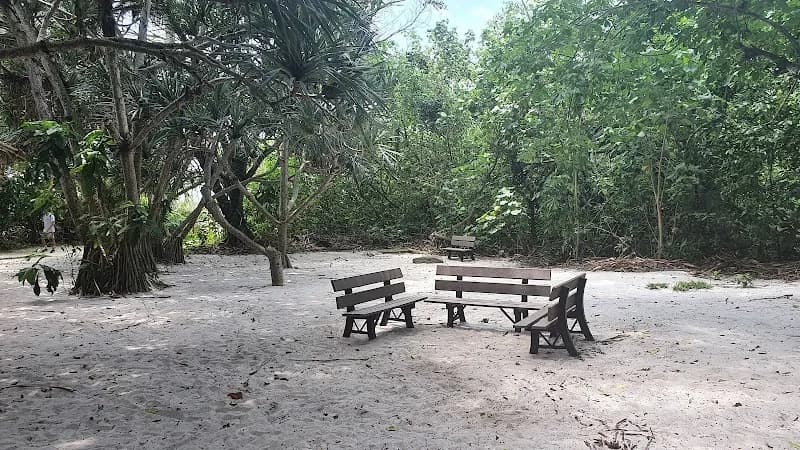 View of Parque Natural Municipal da Barra da Tijuca in Barra da Tijuca, RJ