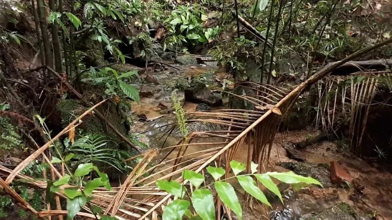 View of Parque Natural Municipal da Serra do Itapety in Mogi das Cruzes, SP