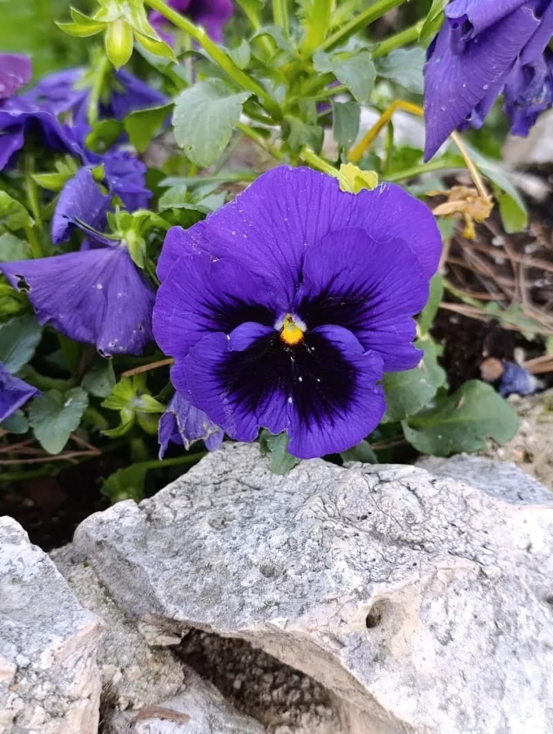 View of Parque O'Donnell in Alcalá de Henares, Madrid