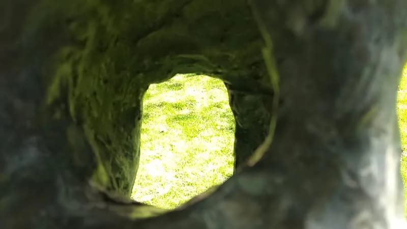 View of Parque O'Donnell in Alcalá de Henares, Madrid