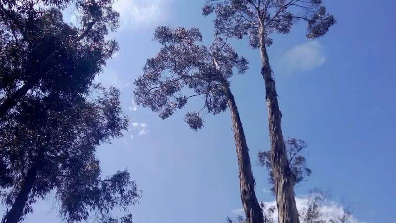 View of Parque Timiza in Tunjuelito, CD