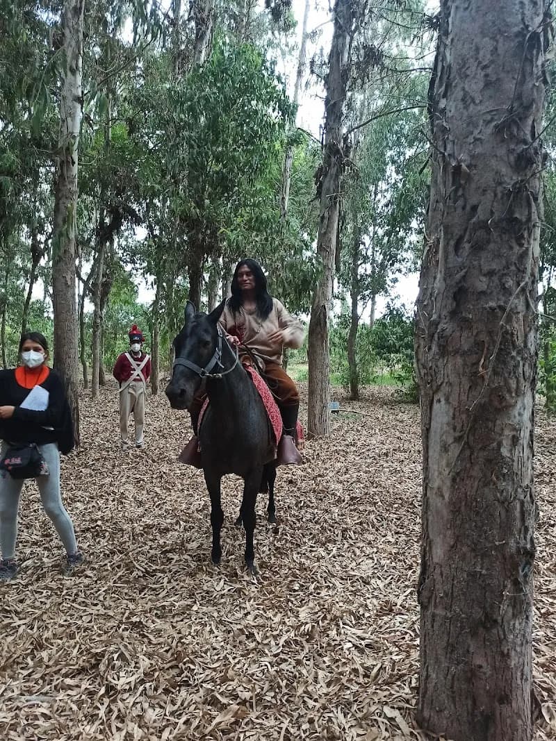 View of Parque Zonal Huascar in Breña, Lima