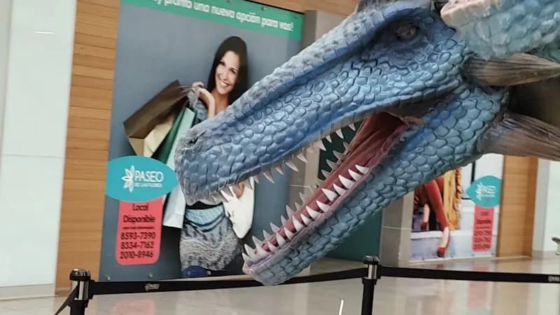 View of Paseo de las Flores in Heredia, HD