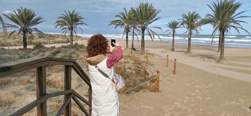 View of Paseo Marítimo de Gandia in Gandia, V