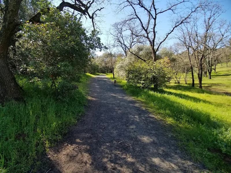 Paso Nogal Park park in Natomas, CA