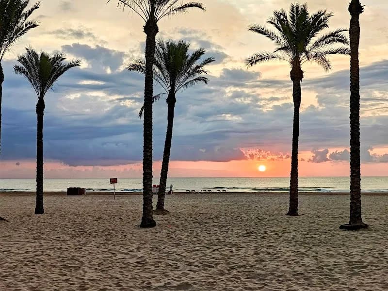 Passeig Marítim de Cullera hiking area in Cullera, V