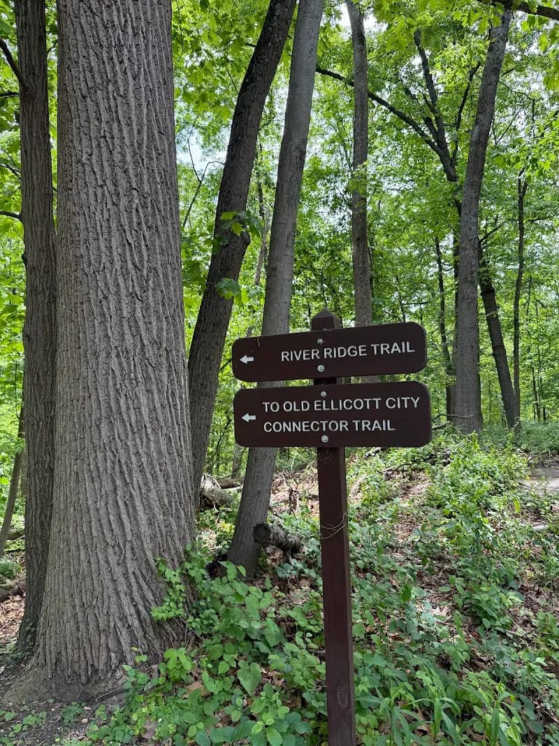 Patapsco Valley State Park - Hollofield Area state park in Ellicott City, MD