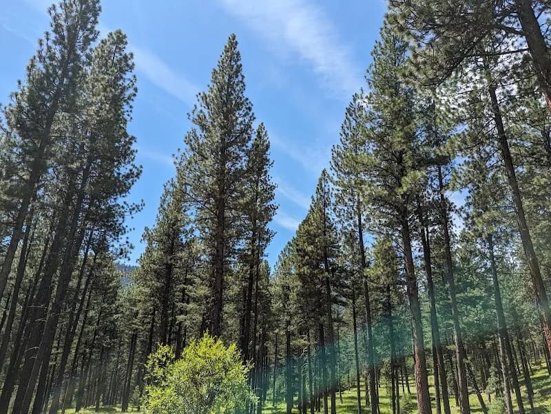 Pattee Canyon Recreation Area hiking area in Missoula, MT