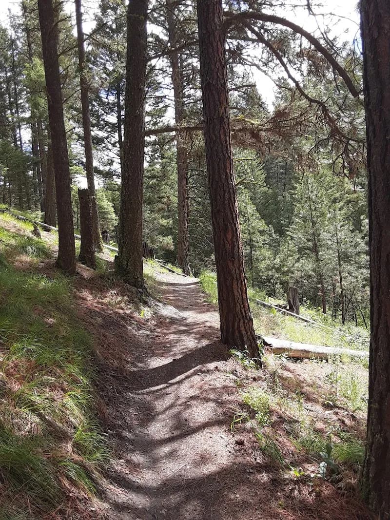 View of Pattee Canyon Recreation Area in Missoula, MT