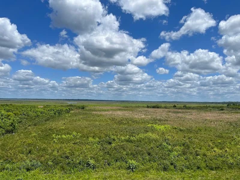Paynes Prairie Preserve State Park state park in Starke, FL