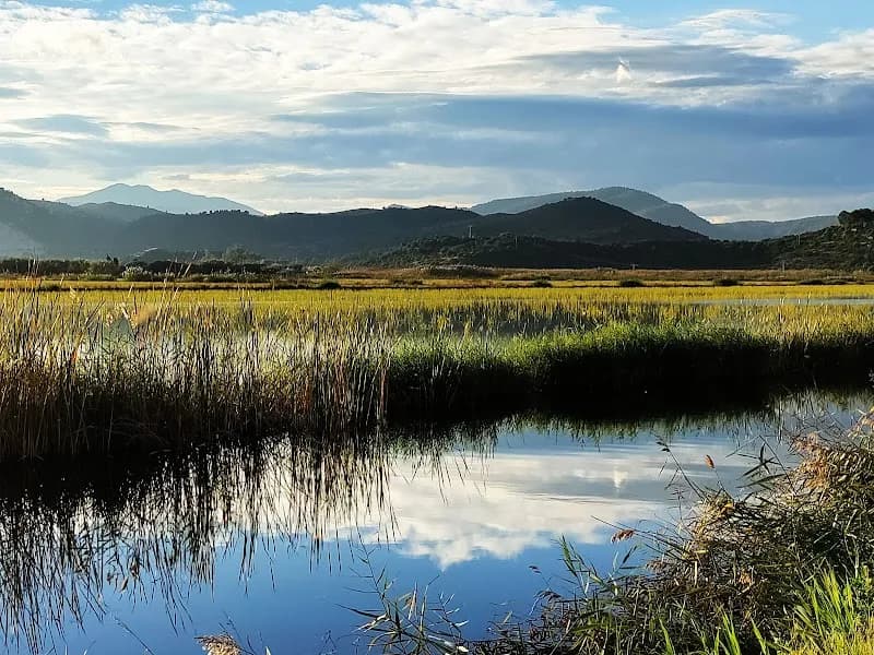 Pego-Oliva Marsh park in Gandia, V