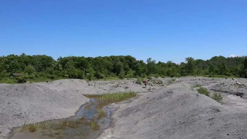 Penn Dixie Fossil Park & Nature Reserve nature preserve in Hamburg, NY