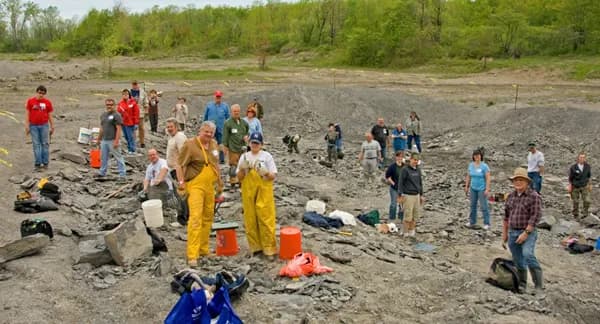 View of Penn Dixie Fossil Park & Nature Reserve in Hamburg, NY