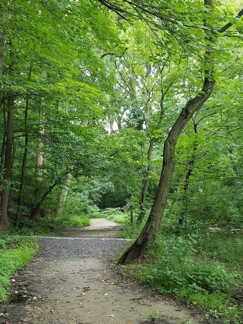 View of Pennypacker Park in Haddonfield, NJ