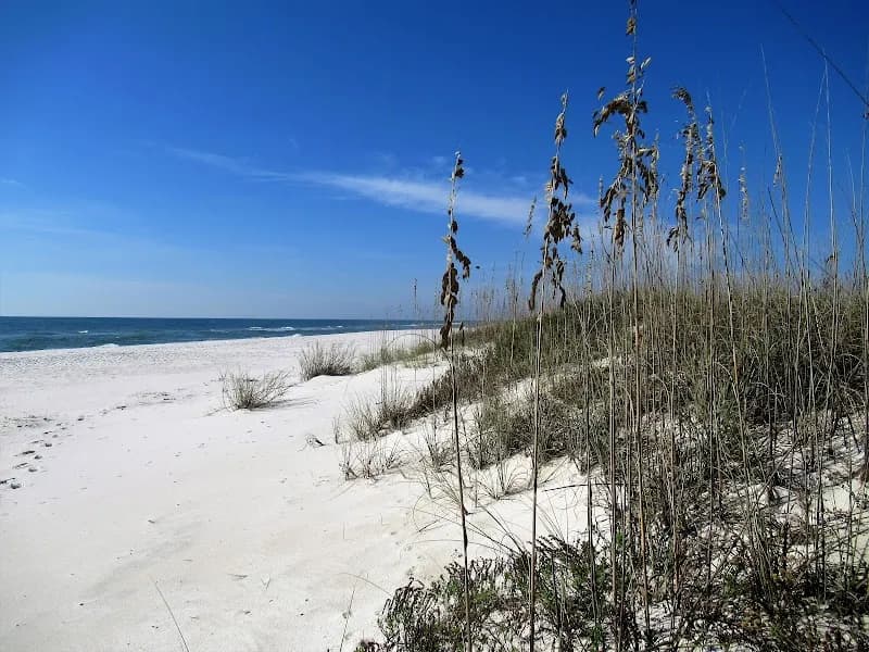 View of Perdido Key State Park in Orange Beach, AL