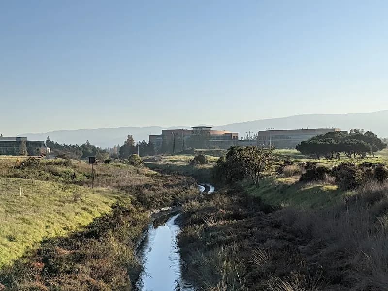 View of Permanente Creek Trail in Los Altos Hills, CA