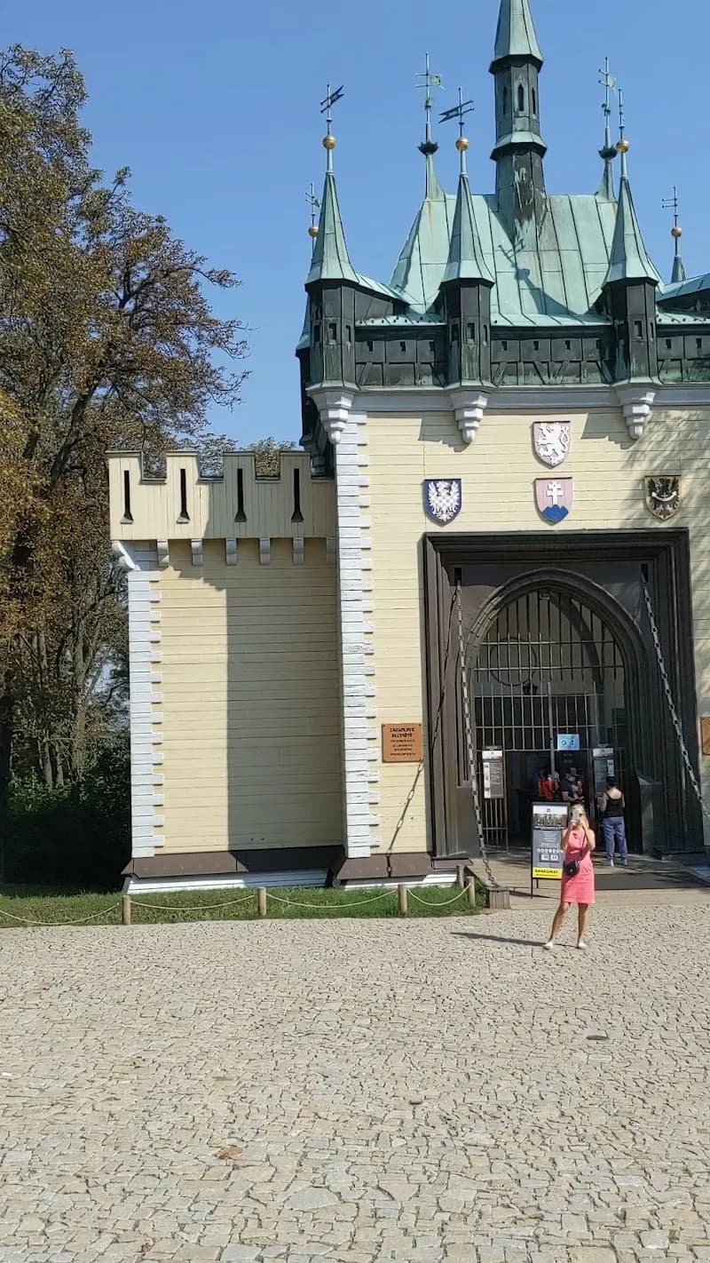View of Petrin Tower in Prague, PRG