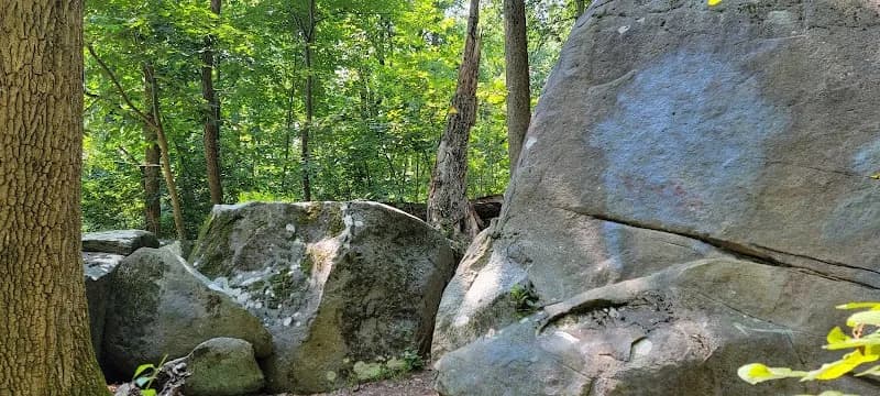 View of Pettoranello Gardens in Princeton, NJ
