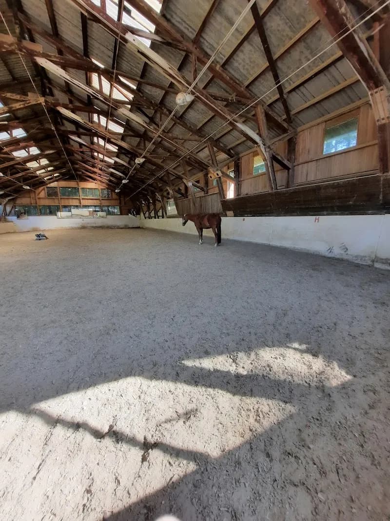 Pferdepark Elsbethen farm in Elsbethen, Salzburg