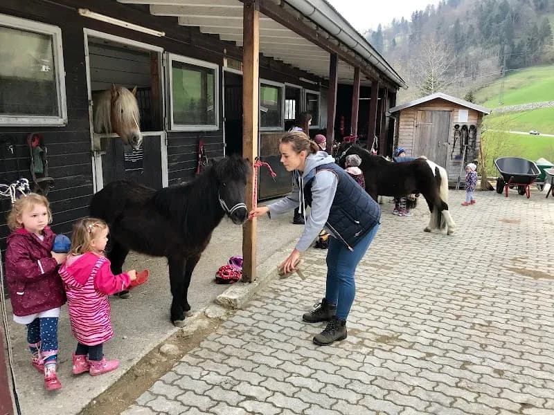 View of Pferdepark Elsbethen in Elsbethen, Salzburg